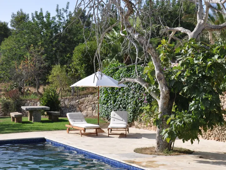 Image of Finca 15