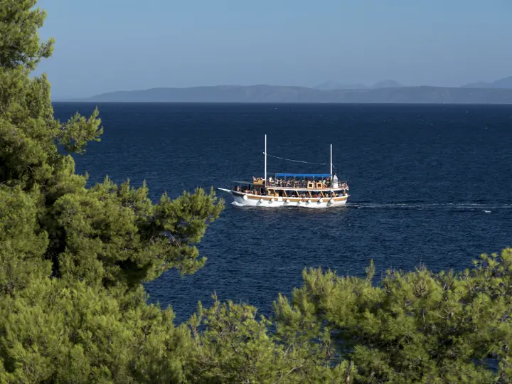 Image of Zara