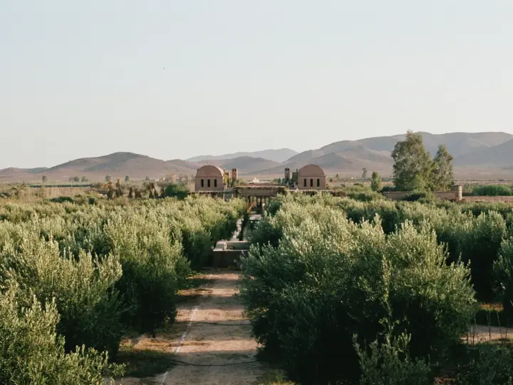 Image of Dar Faresha