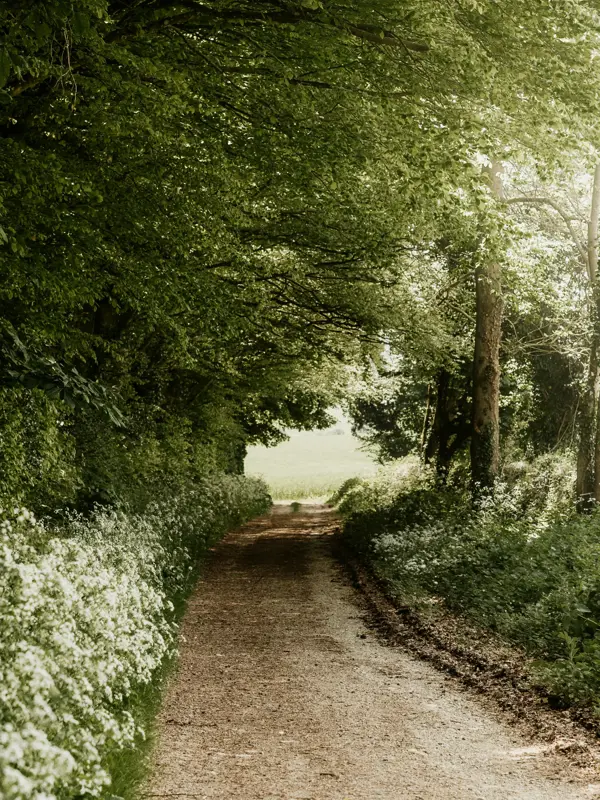 Somerset